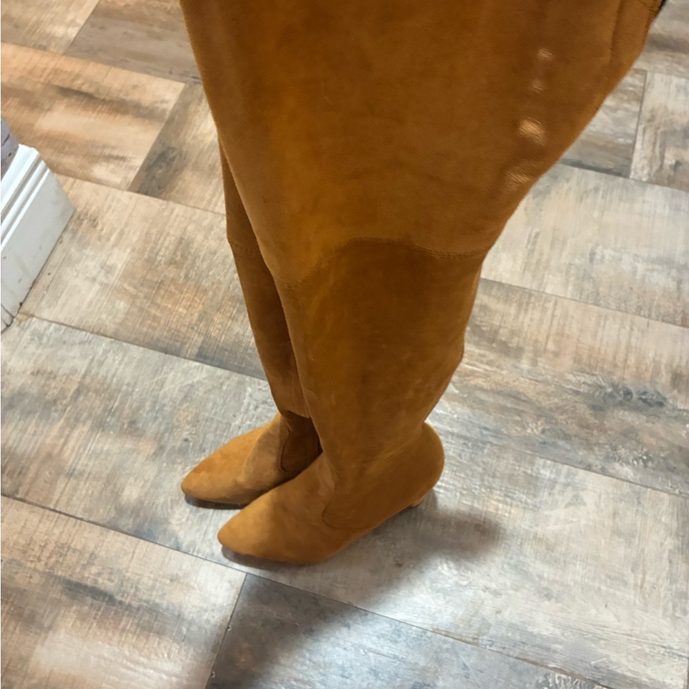 ShoeNTale Camel Over-the-Knee Boots